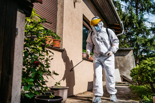 Best Residential Pest Control  in Prospect, PA