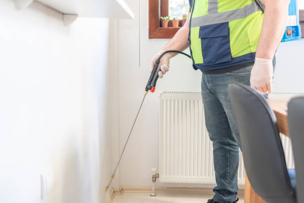 Best Wasp Removal Services  in Prospect, PA