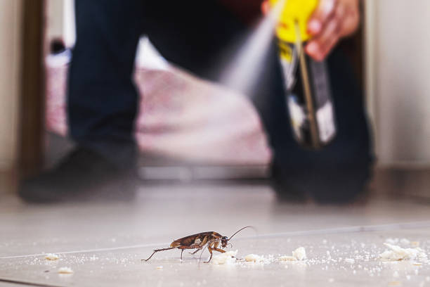Best Commercial Pest Control Services  in Prospect, PA